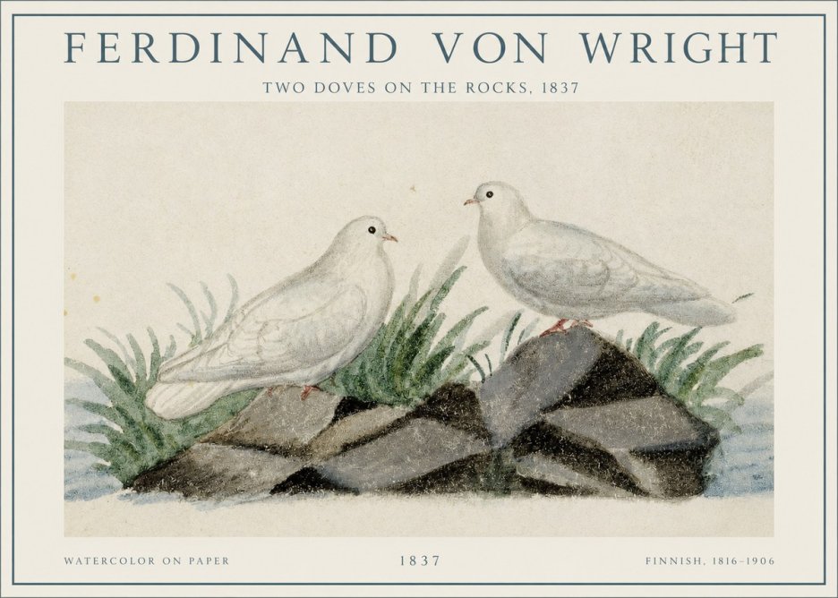 Ferdinand von Wright Two Doves on the Rocks, 1837 No1 - Juliste