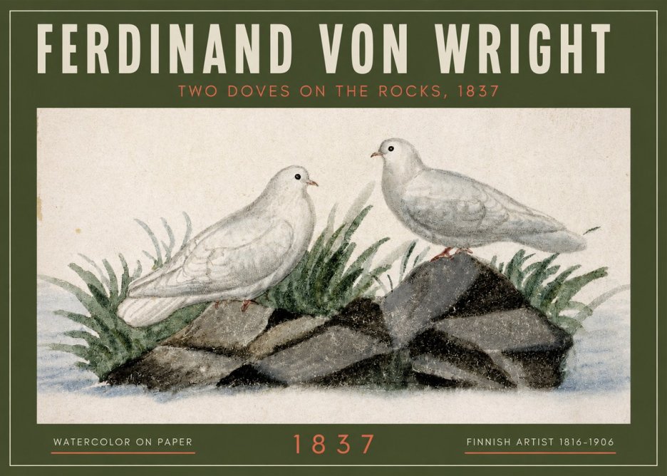 Ferdinand von Wright Two Doves on the Rocks, 1837 No2 - Juliste