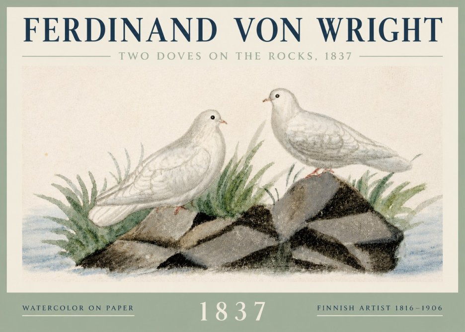 Ferdinand von Wright Two Doves on the Rocks, 1837 No3 - Juliste