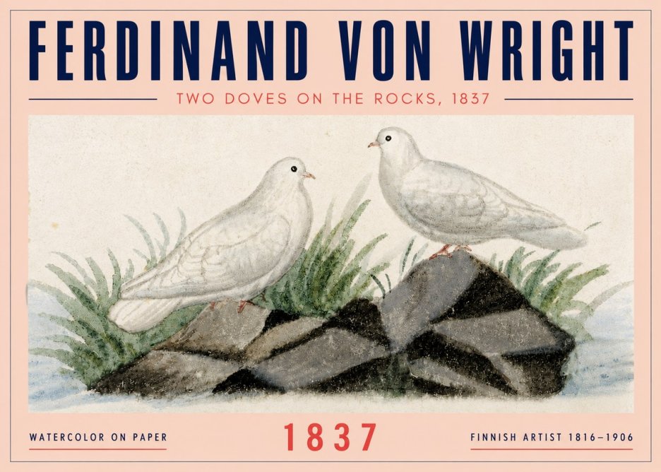 Ferdinand von Wright Two Doves on the Rocks, 1837 No4 - Juliste