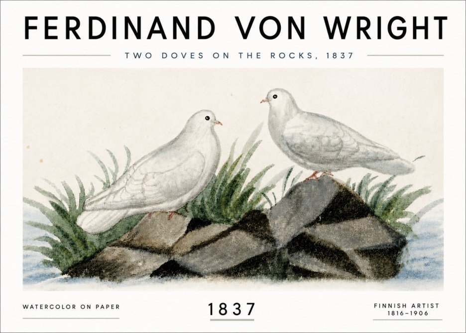 Ferdinand von Wright Two Doves on the Rocks, 1837 No6 - Juliste