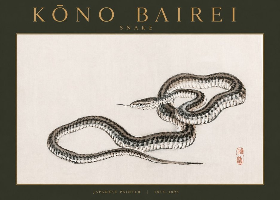 Kōno Bairei Snake No3 - Juliste
