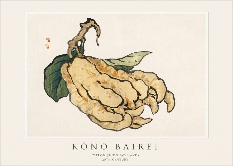 Kōno Bairei Citron (Buddha's Hand) No1 - Juliste