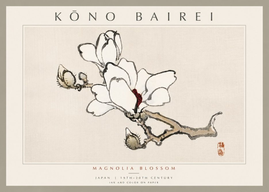Kōno Bairei Magnolia Blossom No6 - Juliste