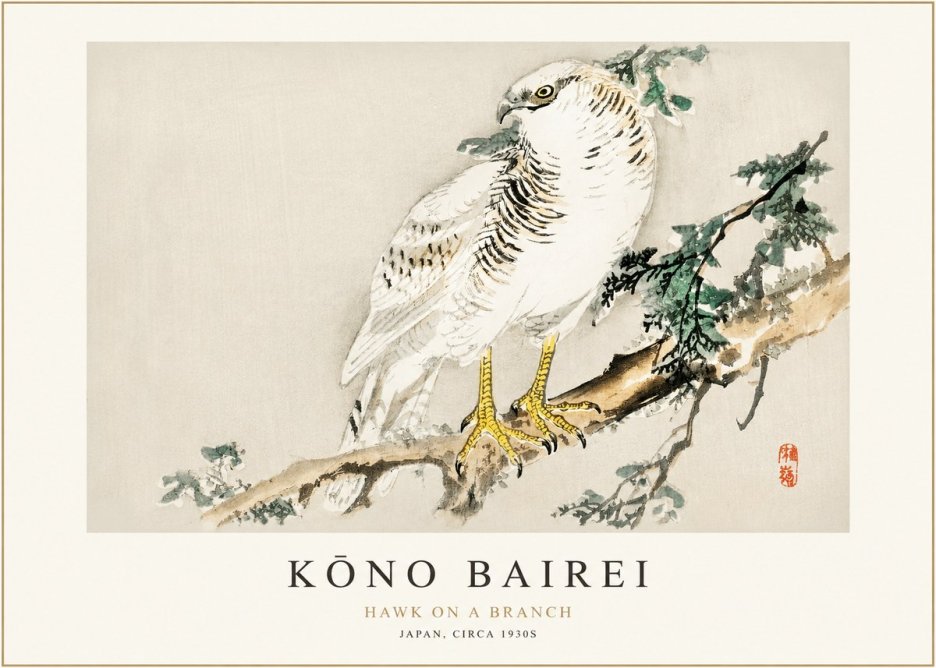 Kōno Bairei Hawk on a Branch No1 - Juliste