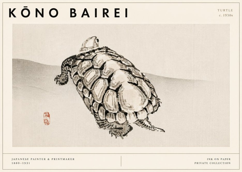 Kōno Bairei Turtle No3 - Juliste