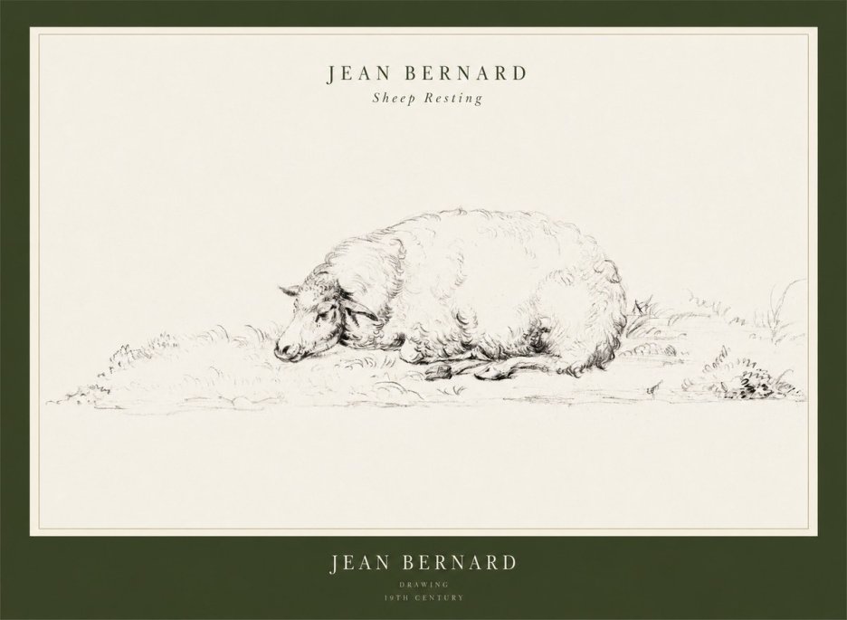 Jean Bernard Sheep Resting on the Ground No3 - Juliste