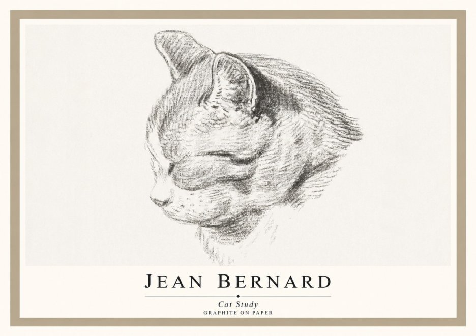 Jean Bernard Cat Study I No1 - Juliste