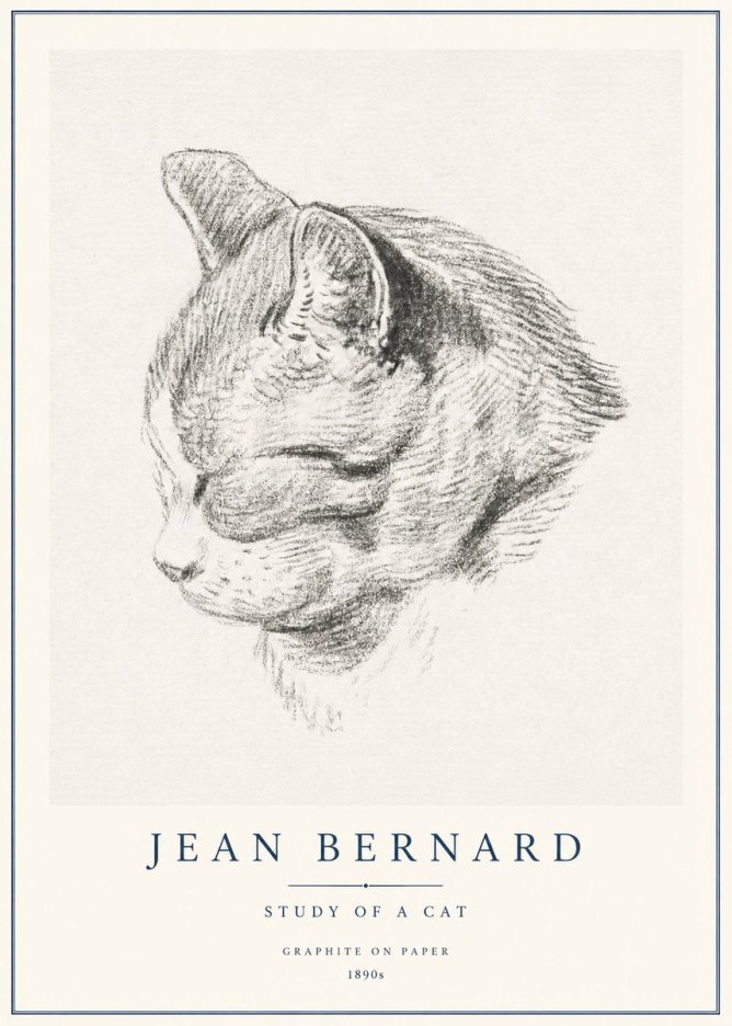 Jean Bernard Cat Study I No3 - Juliste