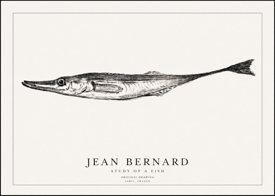 Jean Bernard Study of a Fish I No1 - Juliste