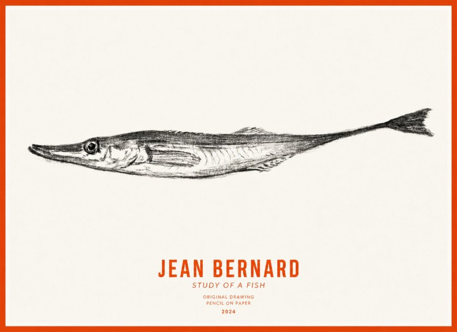 Jean Bernard Study of a Fish I No3 - Juliste