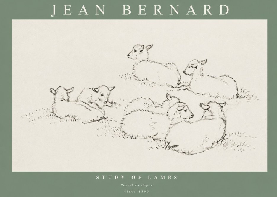 Jean Bernard Study of Lambs No1 - Juliste