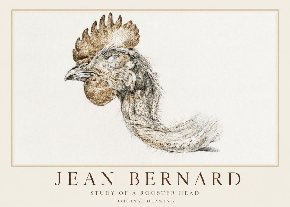 Jean Bernard Study of a Rooster Head No1 - Juliste