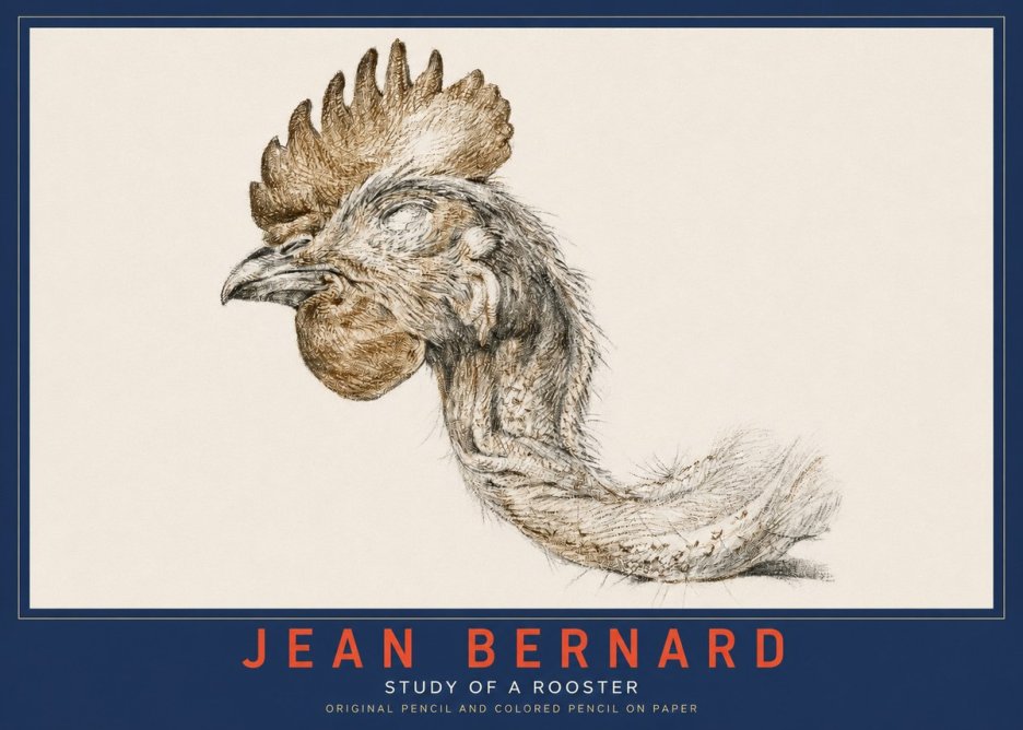 Jean Bernard Study of a Rooster Head No3 - Juliste