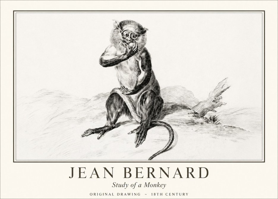 Jean Bernard Study of a Monkey No1 - Juliste