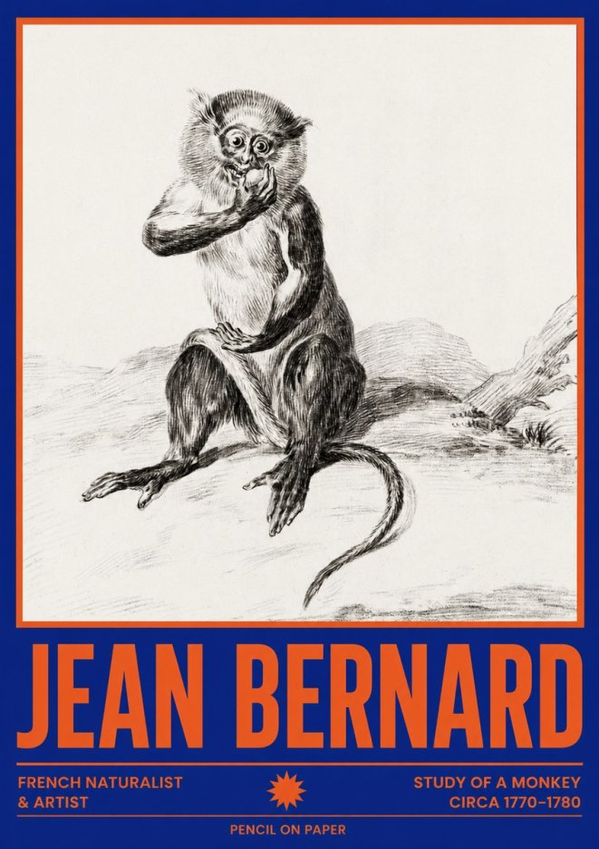 Jean Bernard Study of a Monkey No4 - Juliste