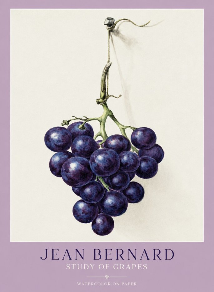 Jean Bernard Grapes No2 - Juliste
