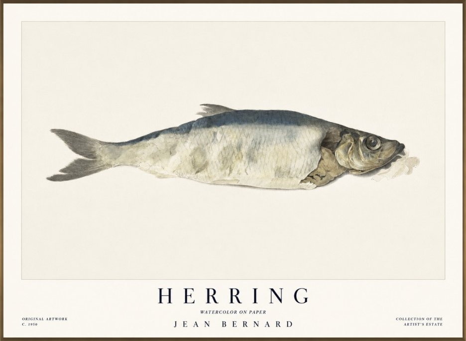 Jean Bernard Herring No1 - Juliste