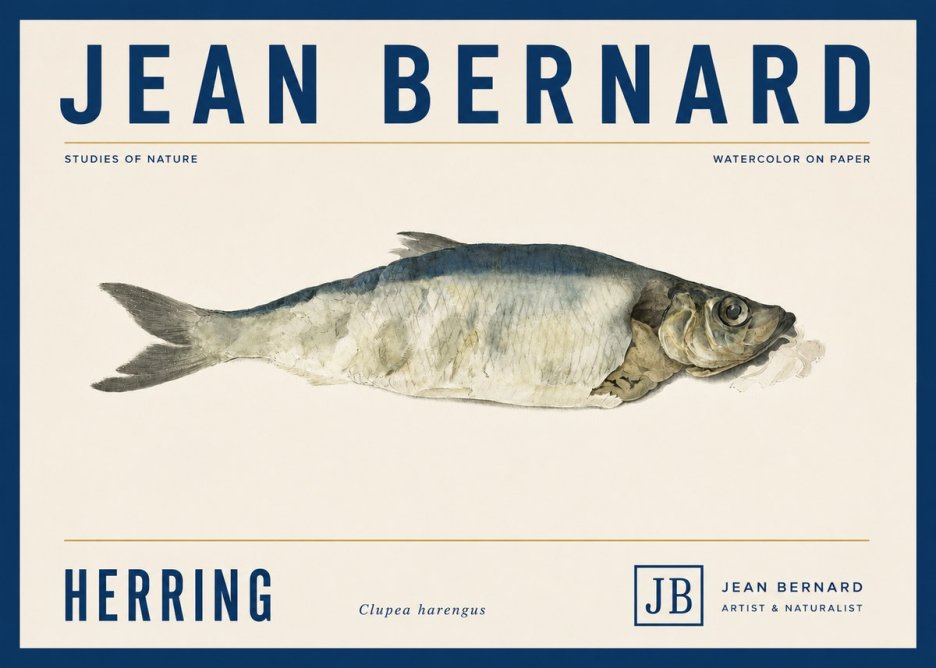 Jean Bernard Herring No5 - Juliste