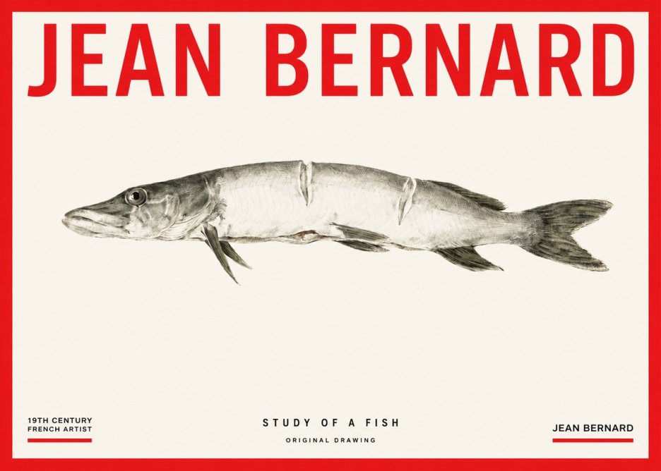 Jean Bernard Study of a Fish II No3 - Juliste