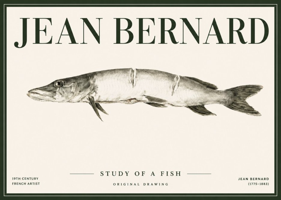 Jean Bernard Study of a Fish II No4 - Juliste