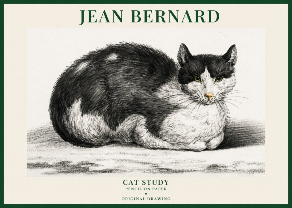 Jean Bernard Cat Study II No6 - Juliste
