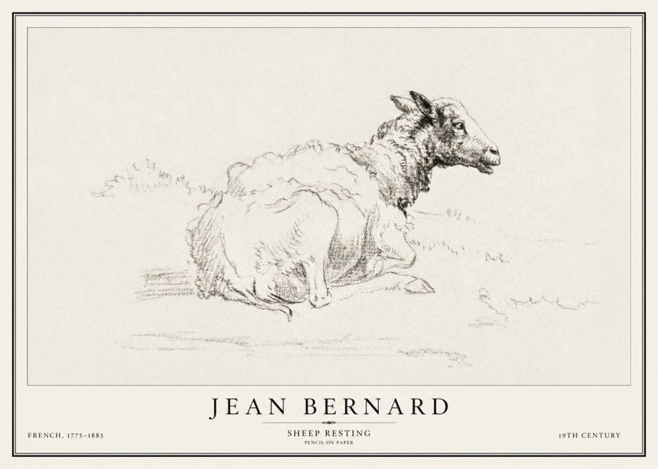 Jean Bernard Sheep Resting No1 - Juliste