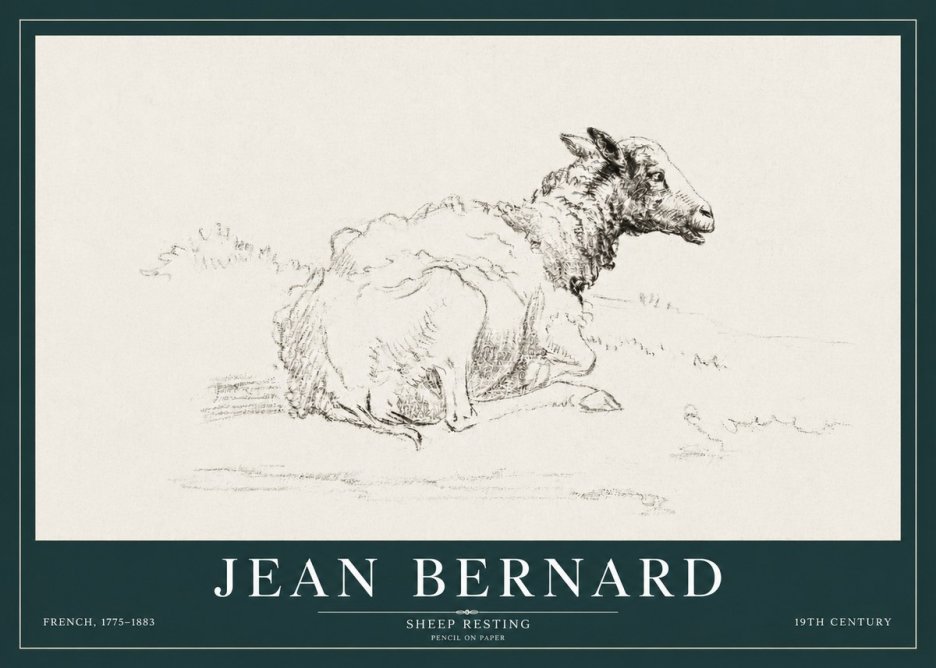 Jean Bernard Sheep Resting No3 - Juliste