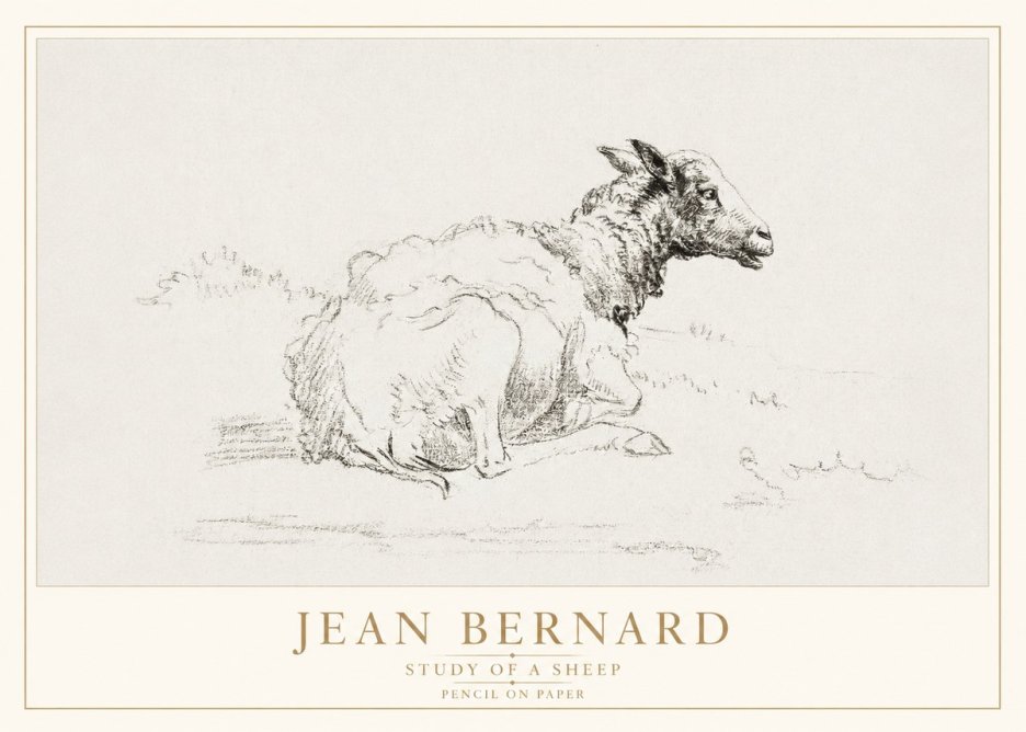 Jean Bernard Sheep Resting No4 - Juliste