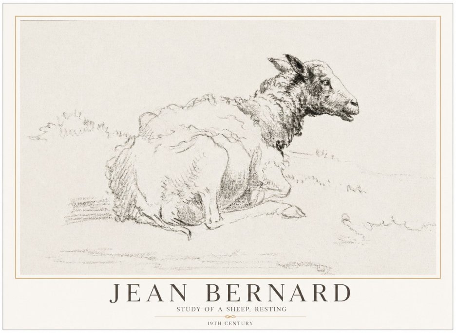 Jean Bernard Sheep Resting No5 - Juliste