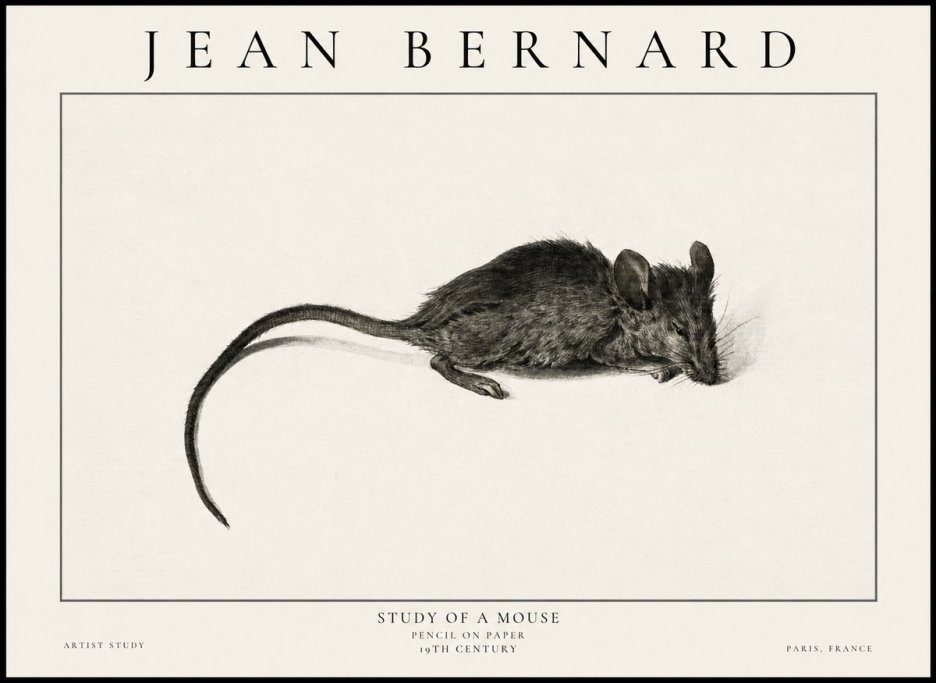 Jean Bernard Study of a Mouse I No6 - Juliste