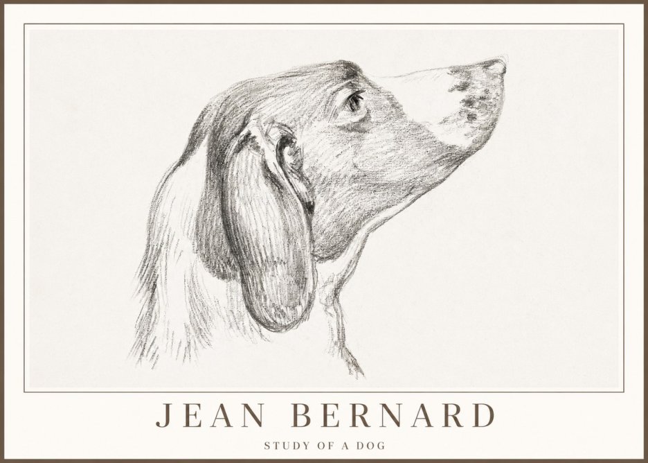 Jean Bernard Study of a Dog I No2 - Juliste