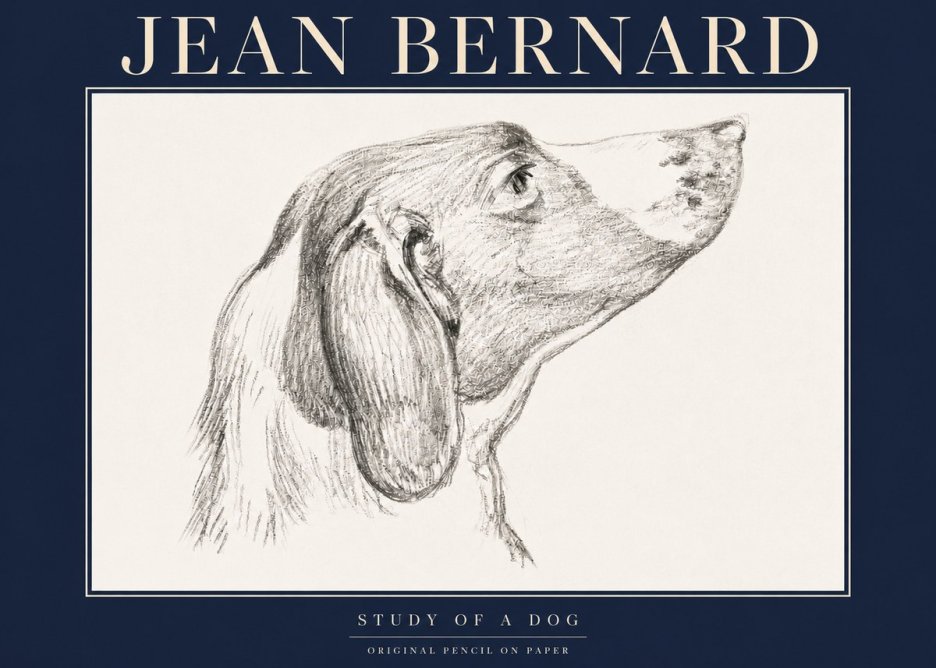 Jean Bernard Study of a Dog I No4 - Juliste