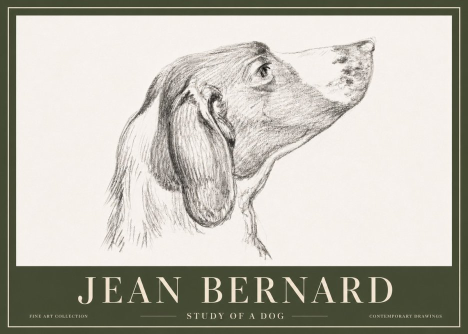 Jean Bernard Study of a Dog I No5 - Juliste