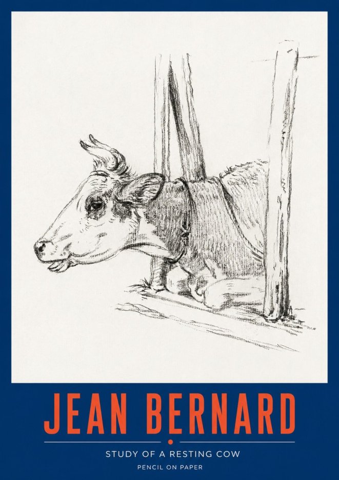 Jean Bernard Study of a Resting Cow II No2 - Juliste