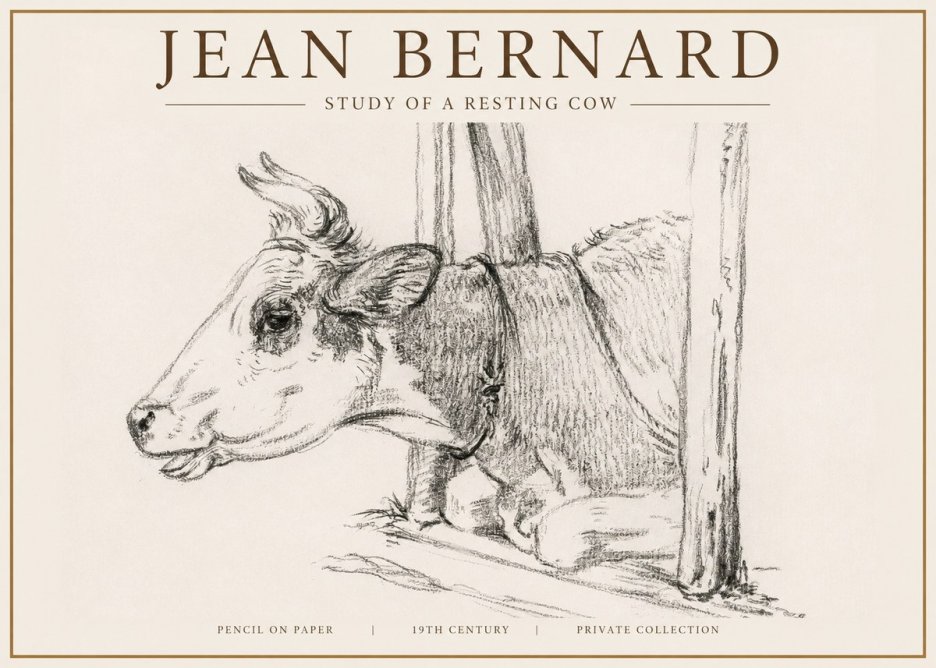 Jean Bernard Study of a Resting Cow II No4 - Juliste