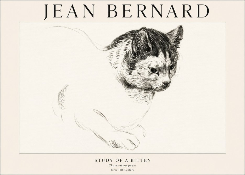 Jean Bernard Study of a Kitten I No1 - Juliste