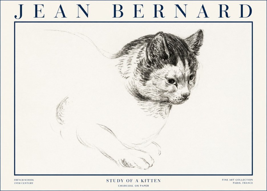 Jean Bernard Study of a Kitten I No4 - Juliste