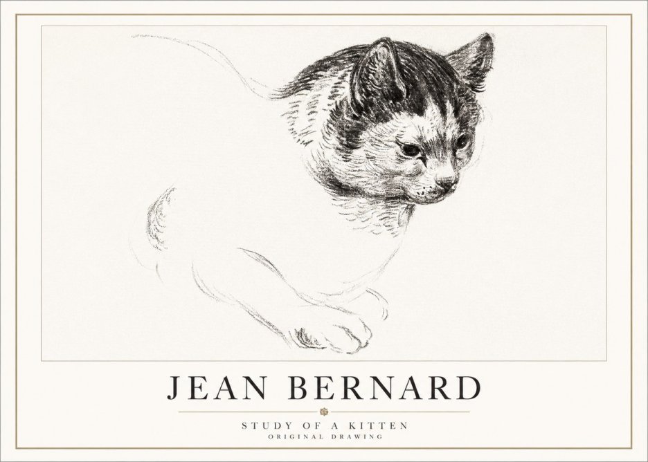 Jean Bernard Study of a Kitten I No5 - Juliste