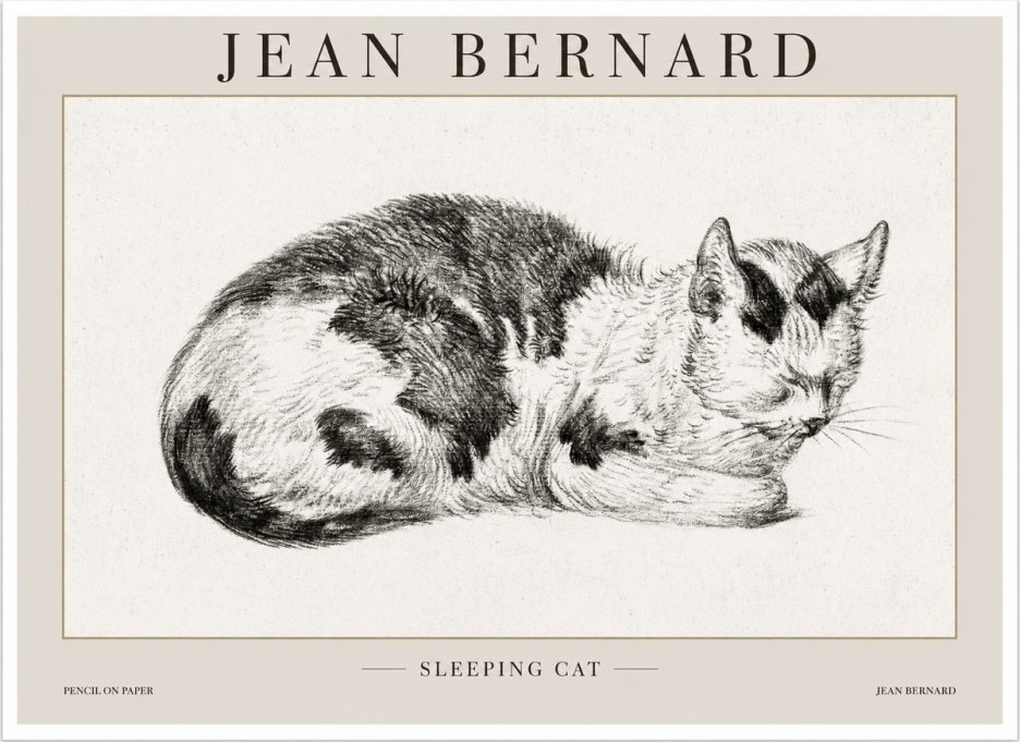 Jean Bernard Sleeping Cat I No1 - Juliste