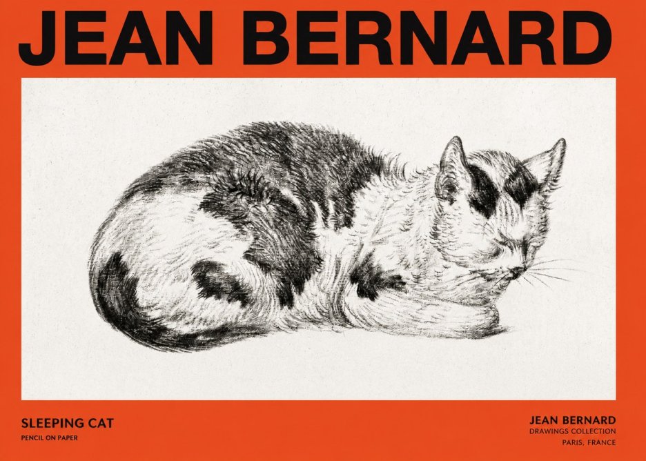 Jean Bernard Sleeping Cat I No2 - Juliste