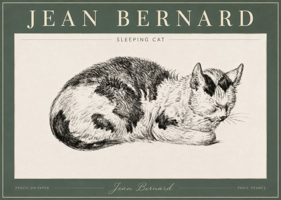 Jean Bernard Sleeping Cat I No4 - Juliste