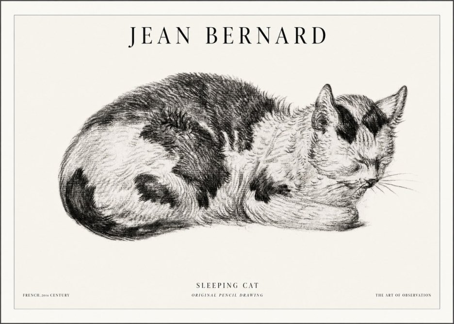Jean Bernard Sleeping Cat I No5 - Juliste