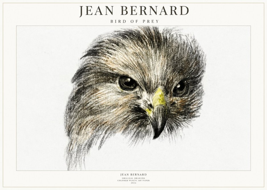 Jean Bernard Bird of Prey No1 - Juliste