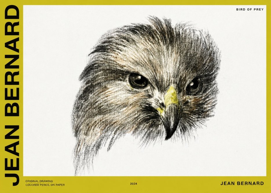Jean Bernard Bird of Prey No2 - Juliste