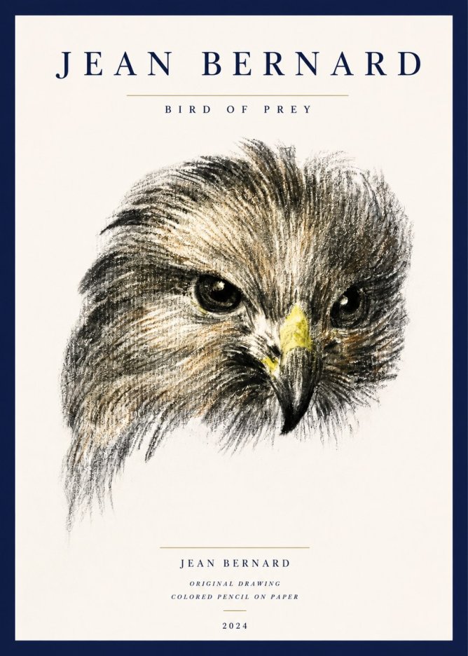 Jean Bernard Bird of Prey No3 - Juliste