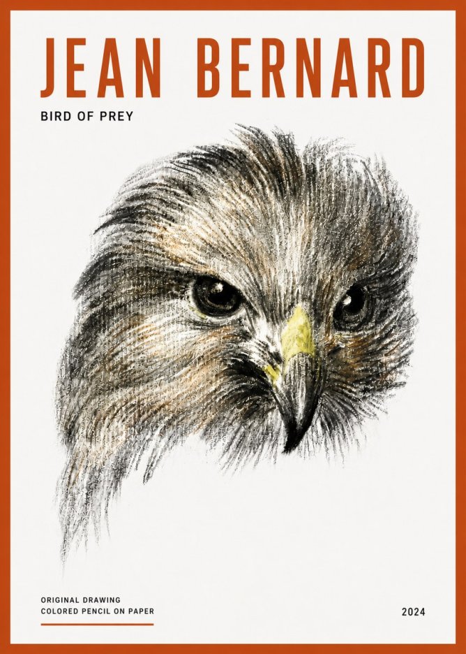 Jean Bernard Bird of Prey No5 - Juliste