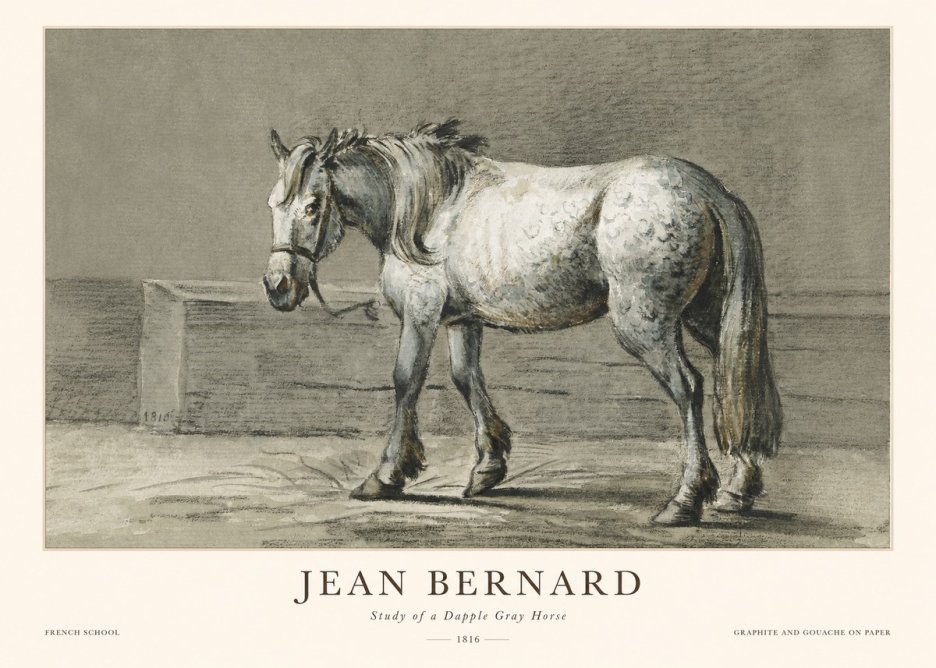 Jean Bernard Study of a Dapple Gray Horse No1 - Juliste