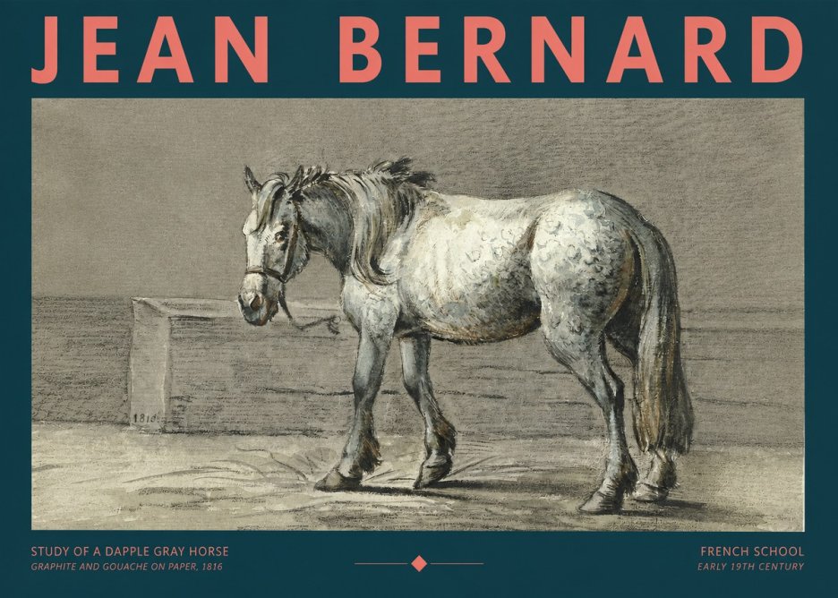 Jean Bernard Study of a Dapple Gray Horse No2 - Juliste