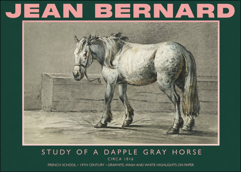 Jean Bernard Study of a Dapple Gray Horse No4 - Juliste